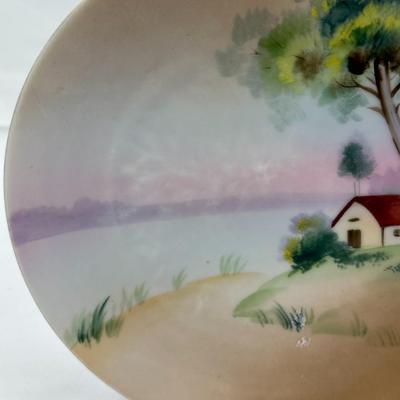 Japanese Handpainted Plate-local pickup and shipping available