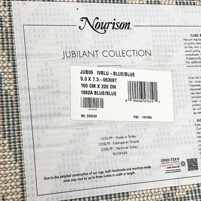 NOURISON ~ Jubilant Collection ~ 5.3’ x 7.3’ Area Rug