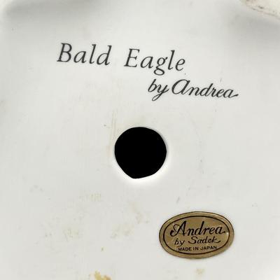 ANDREA ~ Bald Eagle