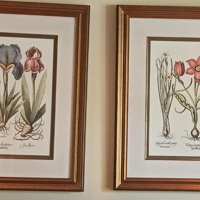 Botanical Print Bulb Garden
