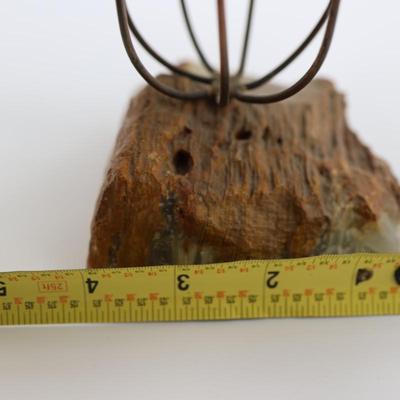 Palm Tree on Stone