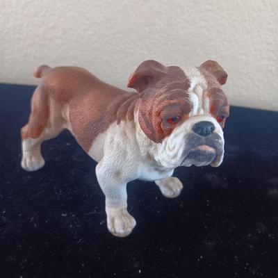 A COLLECTION OF BULL DOGS