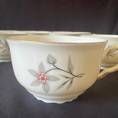 Imported China Tea set For Twelve (DR-RG)