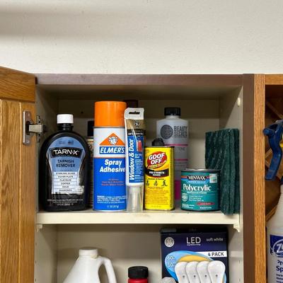 HOUSEHOLD CLEANERS AND CHEMICALS