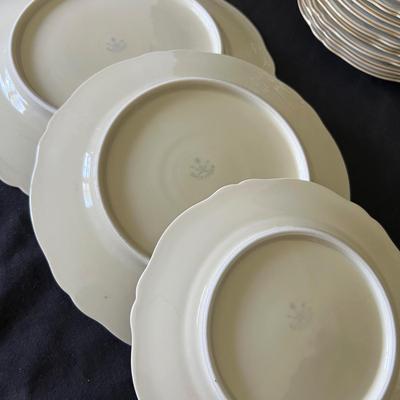 Hackefors 12 Person China Dinnerware Set (DR-RG)