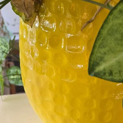 Yellow Ceramic Planter with an Ivy