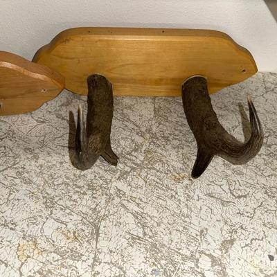 HORN COAT HOOKS