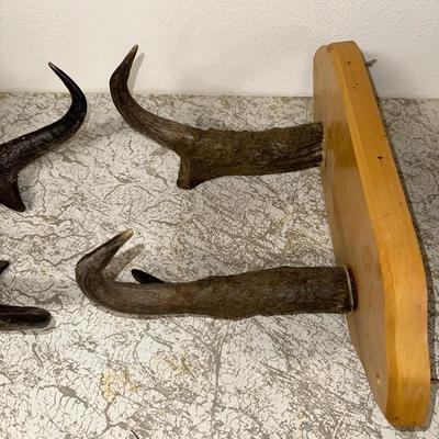 HORN COAT HOOKS