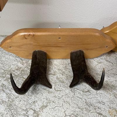 HORN COAT HOOKS