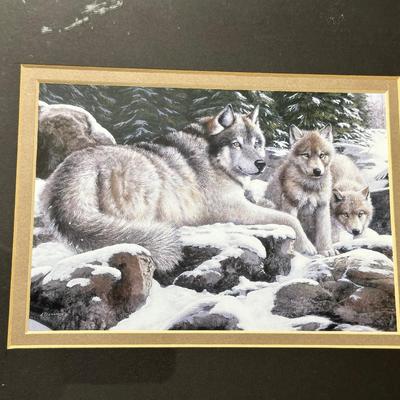 FRAMED PICTURES OF WOLVES AND A RED FOX
