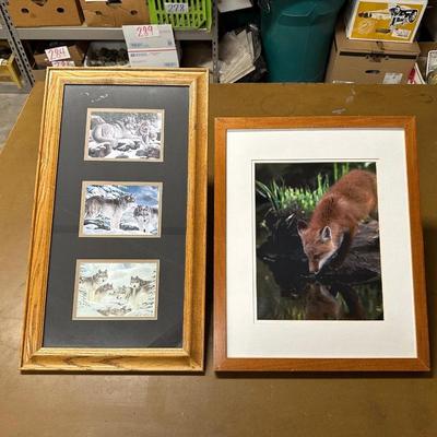FRAMED PICTURES OF WOLVES AND A RED FOX