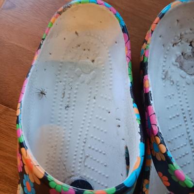 2 PAIRS OF LADIES DAWGS SHOES SIZE 10