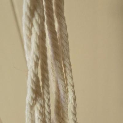 Macrame Plant Holder