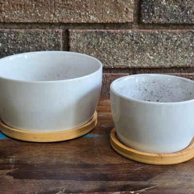 (2) Succulent Planters