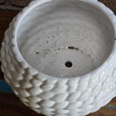 White Ceramic Planter