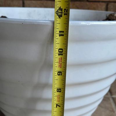 White Plastic Planter
