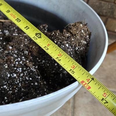 White Plastic Planter