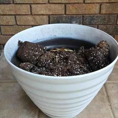 White Plastic Planter