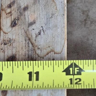 (2) Plant Stands with Wheels