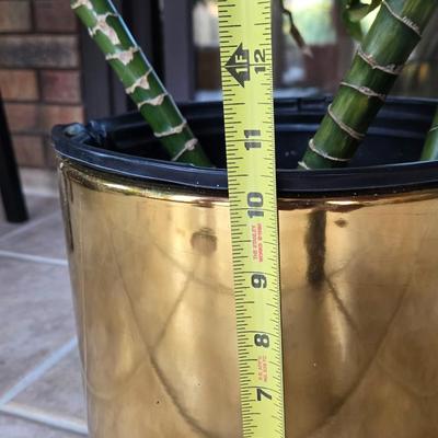 Large Indoor Plant in a Gold Planter