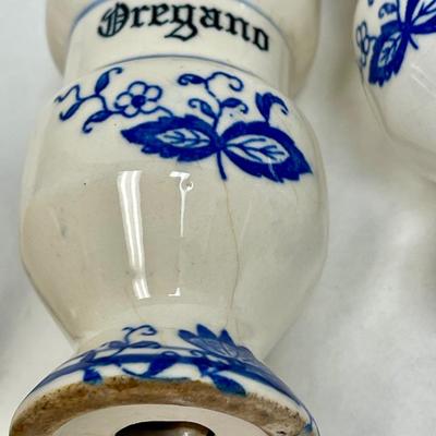 Arnate Blue Onion Ceramic Spice Jars and Coffee Jar, blue & white
