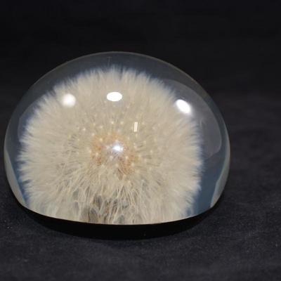 Vintage TARAX Infinity Dandelion Puff Paperweight 4”