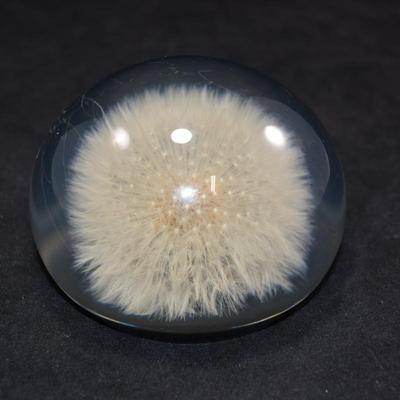 Vintage TARAX Infinity Dandelion Puff Paperweight 4”