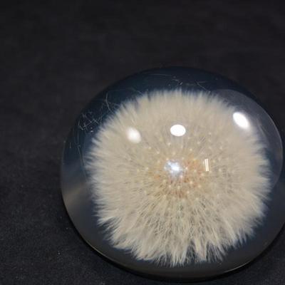 Vintage TARAX Infinity Dandelion Puff Paperweight 4”