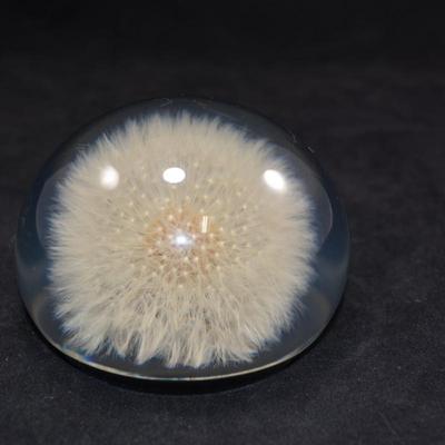 Vintage TARAX Infinity Dandelion Puff Paperweight 4”
