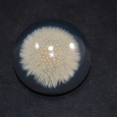 Vintage TARAX Infinity Dandelion Puff Paperweight 4”