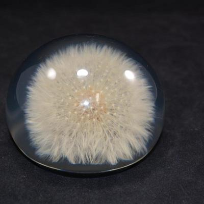 Vintage TARAX Infinity Dandelion Puff Paperweight 4”