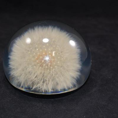Vintage TARAX Infinity Dandelion Puff Paperweight 4”