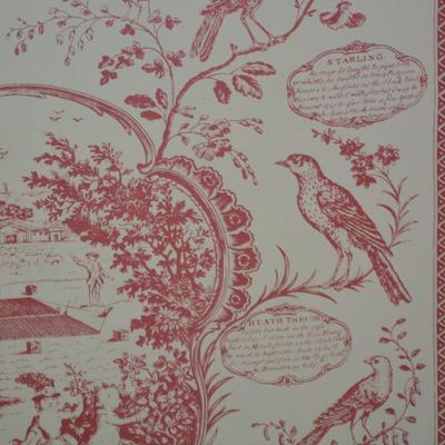 “The Aviary or Bird Fancyers Recreation” Gold Framed Art Piece 31”x27.5”