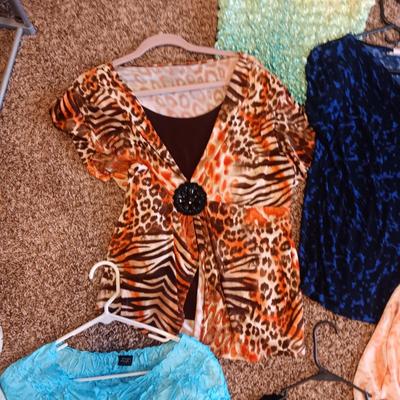 LADIES DRESSES, SKIRTS, SHIRTS, CARDIGANS AND SCARVES (L - XL)