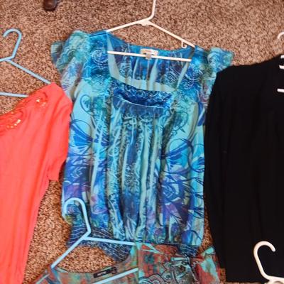 LADIES DRESSES, SKIRTS, SHIRTS, CARDIGANS AND SCARVES (L - XL)