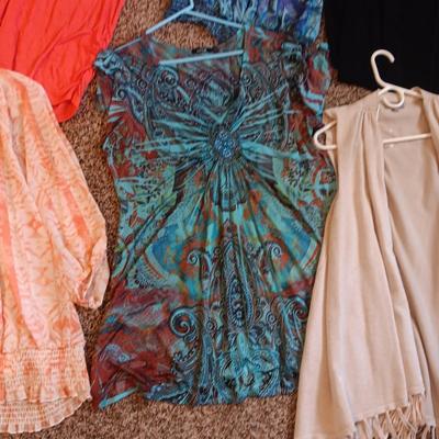 LADIES DRESSES, SKIRTS, SHIRTS, CARDIGANS AND SCARVES (L - XL)