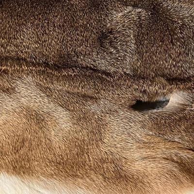 25” Deer Skin Decorative Bolster Pillow