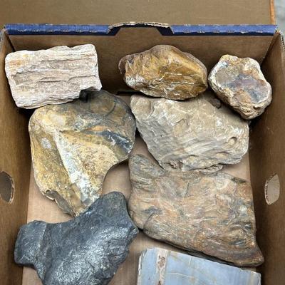 MEDIUM ROCKS (3)
