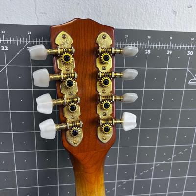 Nice Mandolin in Hard Case