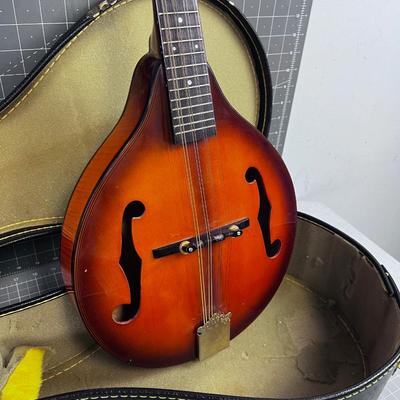 Nice Mandolin in Hard Case