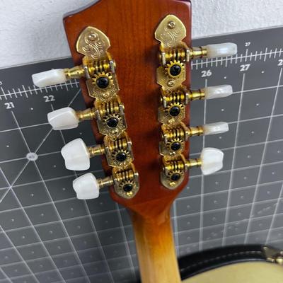 Nice Mandolin in Hard Case