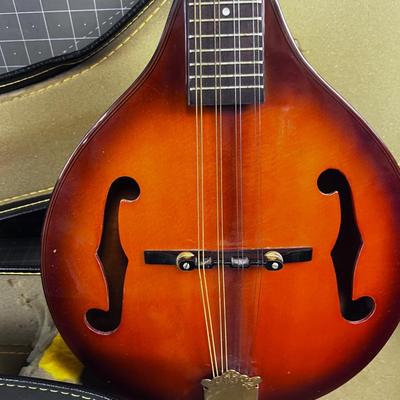 Nice Mandolin in Hard Case