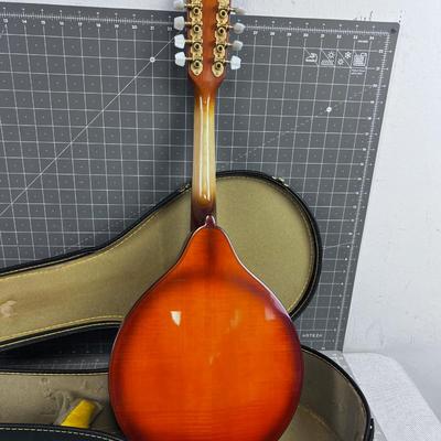 Nice Mandolin in Hard Case