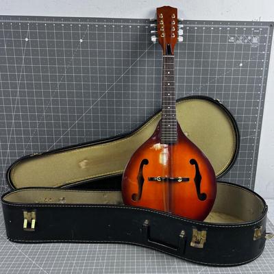 Nice Mandolin in Hard Case