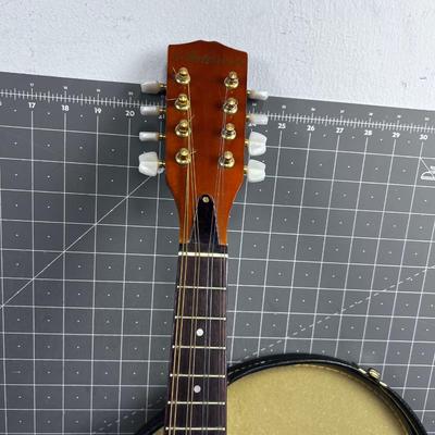 Nice Mandolin in Hard Case