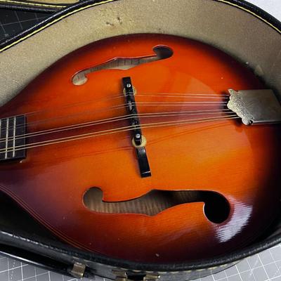 Nice Mandolin in Hard Case