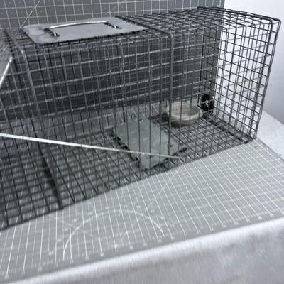 Live ANIMAL Trap