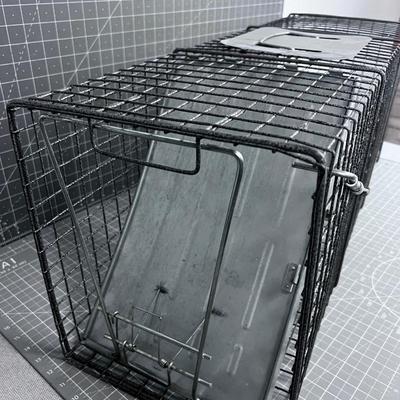 Live ANIMAL Trap