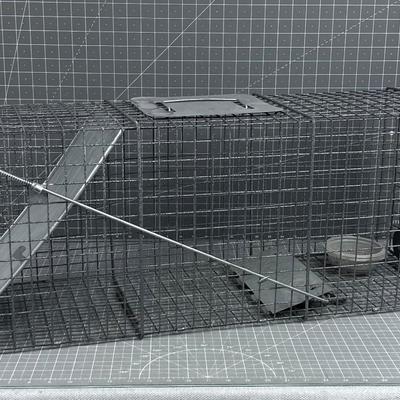 Live ANIMAL Trap