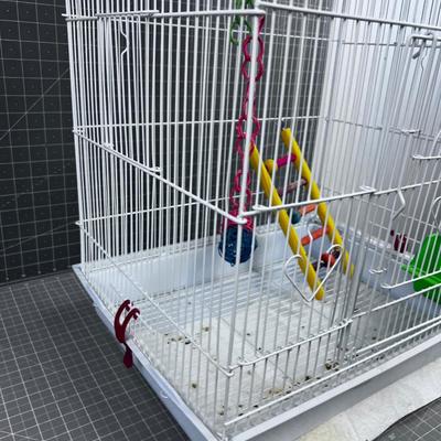 Bird Cage 